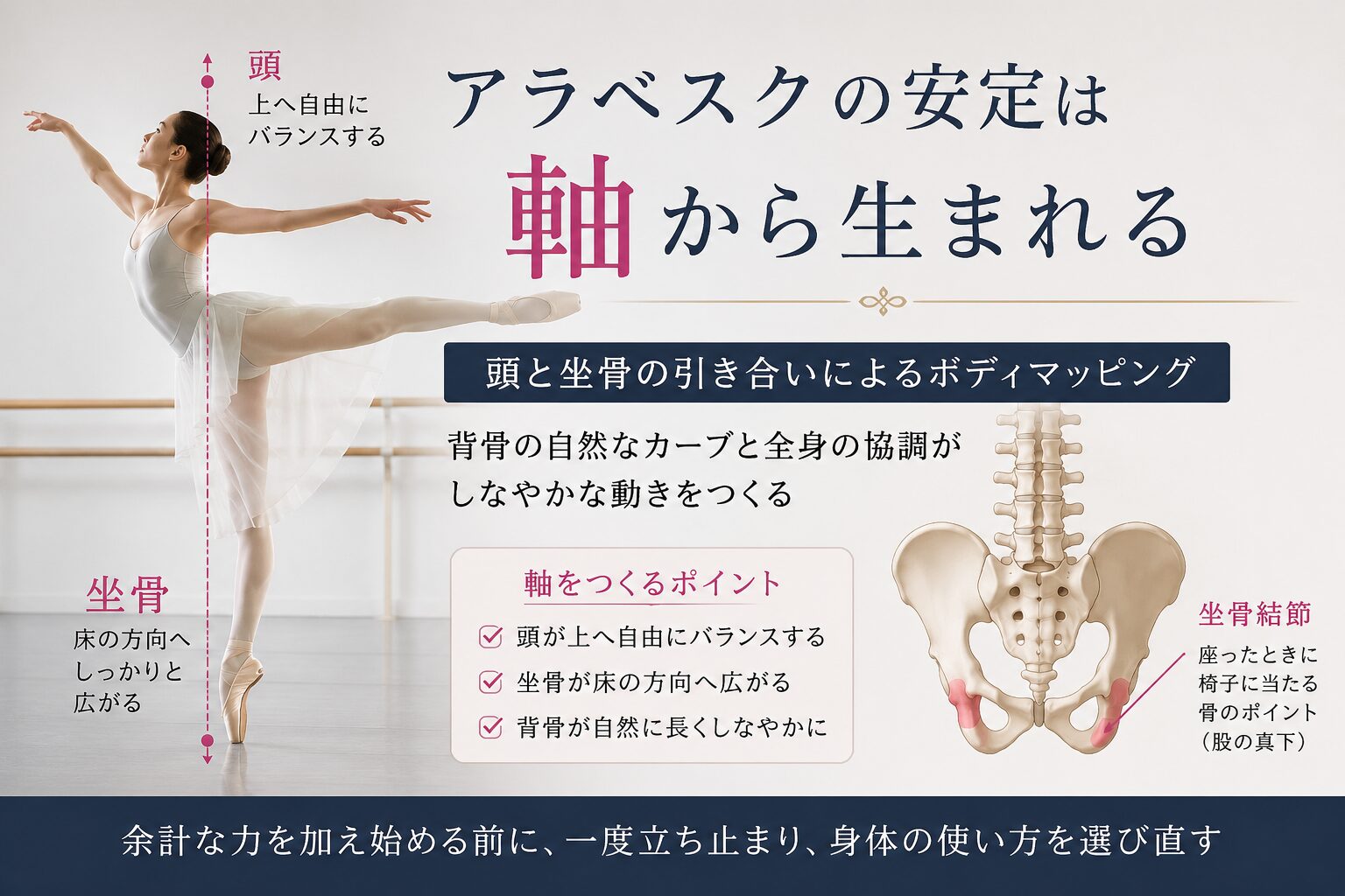バレエダンサーのアラベスク姿勢を用いて、頭と坐骨の引き合いによる軸の作り方（ボディマッピング）を解説した図解